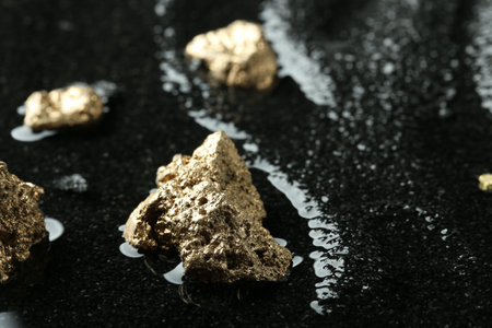 Shiny gold nuggets on wet black stone, closeup. Space for textの写真素材