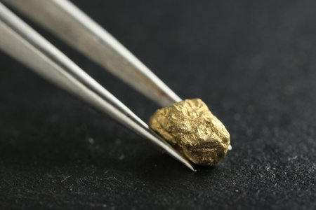 Tweezer with shiny gold nugget at gray textured surface, closeup