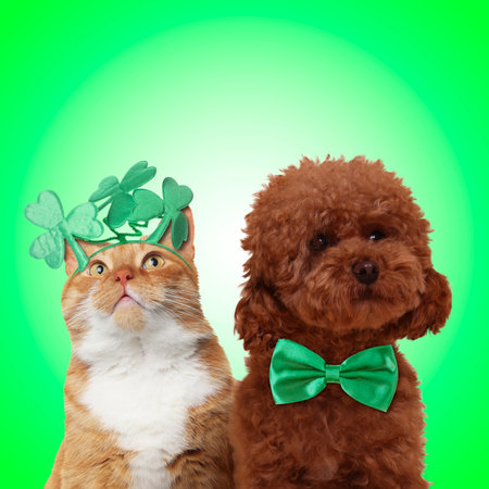 St. Patrick's day celebration. Cute dog with bow tie and cat wearing headband with clover leaves on...