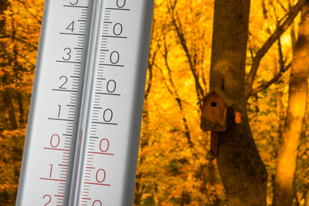 Thermometer and beautiful park outdoors. Temperature in autumnの写真素材