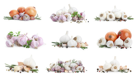 Fresh garlic, onions, herbs and peppercorns isolated on white, setの写真素材