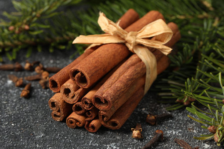 Different spices. Aromatic cinnamon sticks, clove seeds and fir branches on dark gray textured table, closeupの写真素材