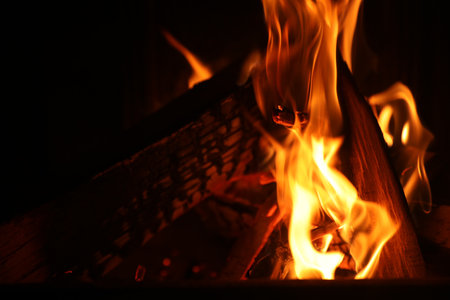 Bonfire with burning firewood on dark background, closeup