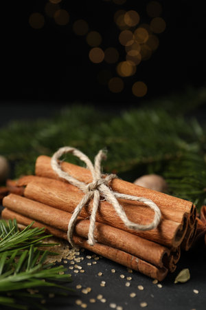 Different spices and fir branches on table, closeupの写真素材