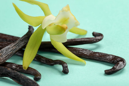 Vanilla pods and beautiful flower on turquoise background, closeup