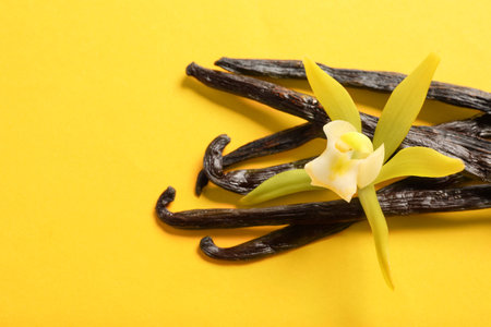 Vanilla pods and beautiful flower on yellow background, closeup. Space for textの写真素材