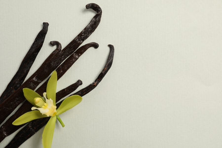 Vanilla pods and beautiful flower on light gray background, top view. Space for textの写真素材