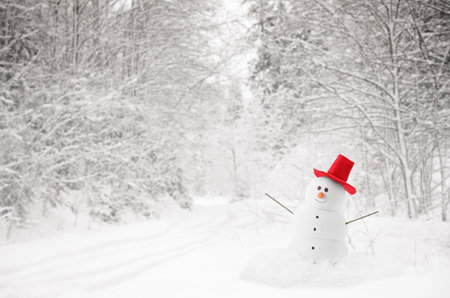Cute decorative snowman with red hat in snowy forest, space for textの写真素材