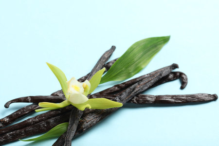 Vanilla pods, beautiful flower and green leaves on light blue background, closeupの写真素材