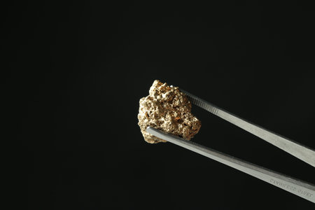 Tweezers with gold nugget against black background, closeup. Space for textの写真素材