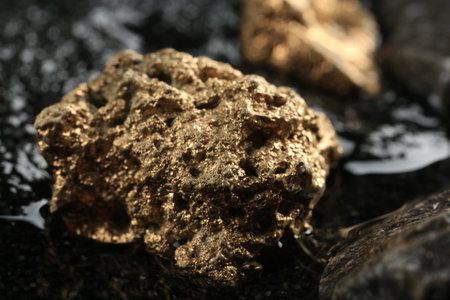 Shiny gold nugget on wet stone, closeup