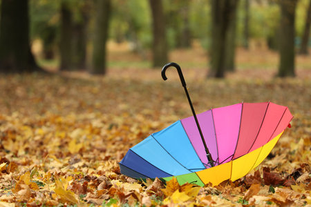 Open rainbow umbrella on fallen leaves in autumn park, space for textの写真素材