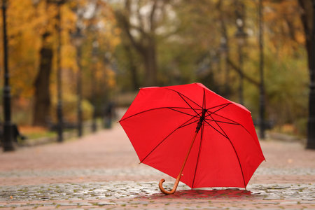 Open red umbrella on paved pathway in autumn park, space for textの写真素材