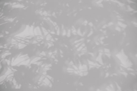 Shadow of plant falling on white wall, space for text