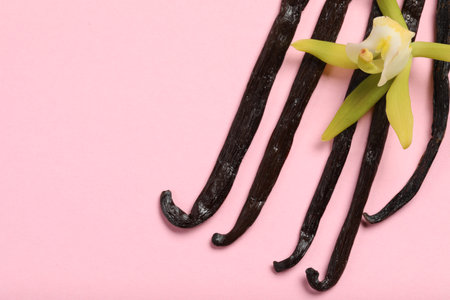 Vanilla pods and beautiful flower on pink background, top view. Space for textの写真素材