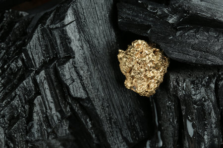 Shiny gold nugget on coal, closeup. Space for textの写真素材