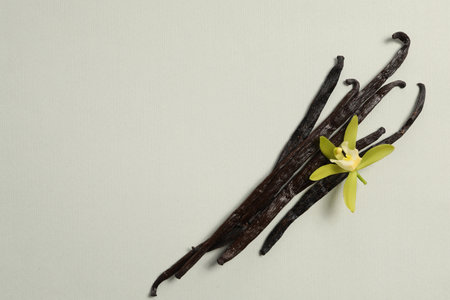 Vanilla pods and beautiful flower on light gray background, top view. Space for textの写真素材