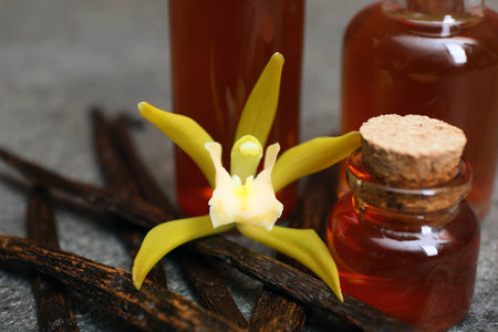 Aromatic vanilla extract, pods and flower on gray table, closeup