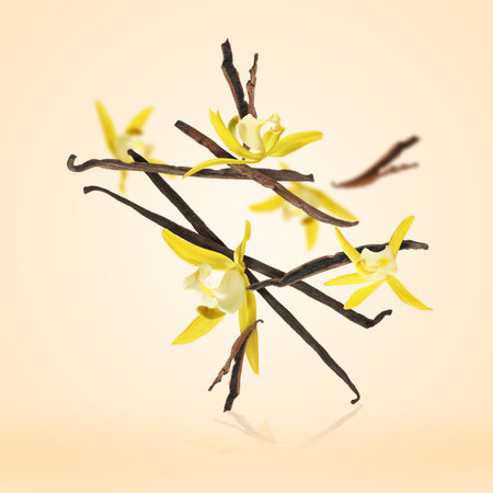 Vanilla pods and yellow flowers falling on beige backgroundの写真素材