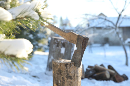 Metal ax in wooden log outdoors on sunny winter day
