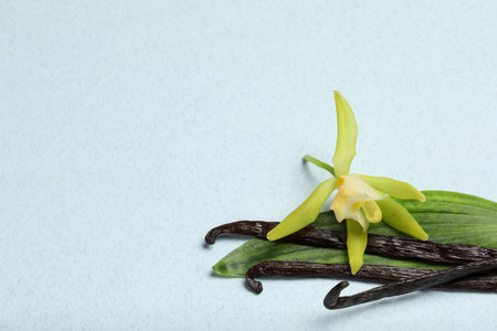 Vanilla pods, beautiful flower and green leaf on light background, closeup. Space for textの写真素材