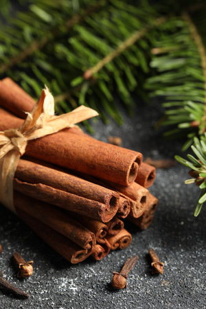Different spices. Aromatic cinnamon sticks, clove seeds and fir branches on dark gray textured table, closeupの写真素材