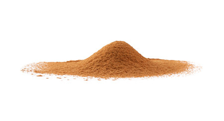 Pile of dry aromatic cinnamon powder isolated on whiteの写真素材