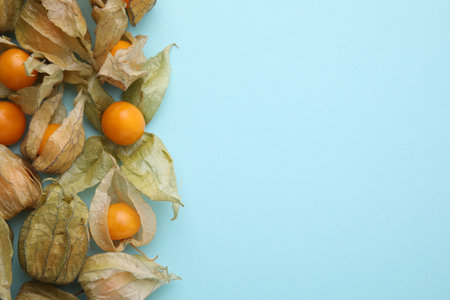 Ripe physalis fruits with calyxes on light blue background, flat lay. Space for textの写真素材