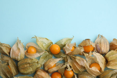 Ripe physalis fruits with calyxes on light blue background, flat lay. Space for textの写真素材
