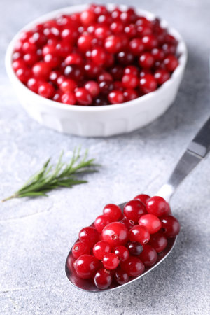 Fresh ripe cranberries on gray table, closeupの写真素材