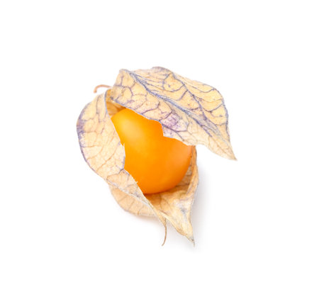 Ripe physalis fruit with calyx isolated on whiteの写真素材