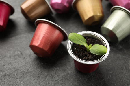 Coffee capsules and seedling on black table, closeupの写真素材