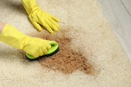 Woman removing stain from beige carpet, closeup