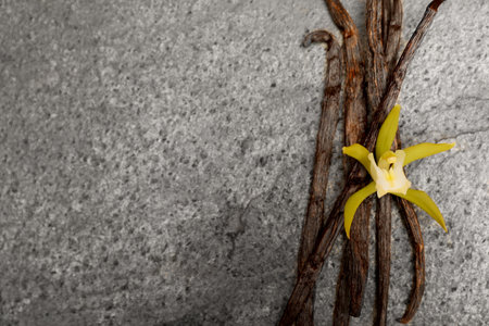 Aromatic vanilla pods and flower on gray table, top view. Space for textの写真素材