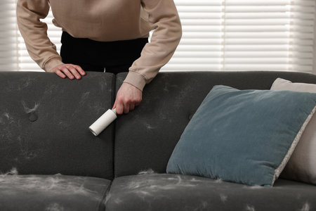 Pet shedding. Man with lint roller removing dog's hair from sofa at home, closeupの写真素材