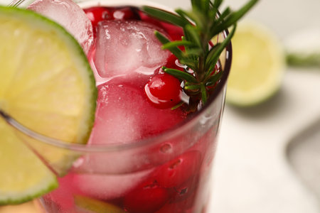 Tasty cranberry cocktail with rosemary and lime in glass on table, closeupの写真素材