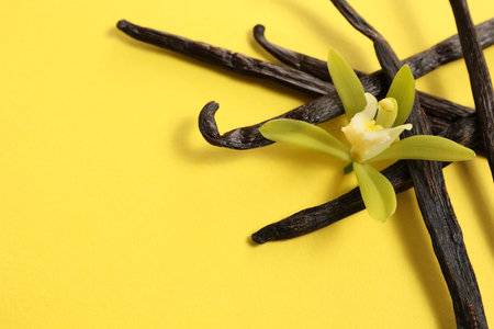 Vanilla pods and beautiful flower on yellow background. Space for textの写真素材