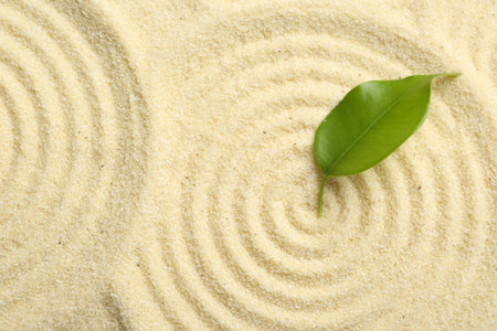 Zen rock garden. Circle patterns and green leaf on beige sand, top viewの写真素材