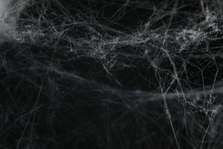Creepy white cobweb on black background, closeup