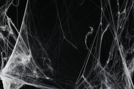 Creepy white cobweb on black background, closeupの写真素材