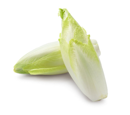 Raw ripe chicories on white background. Belgian endiveの写真素材