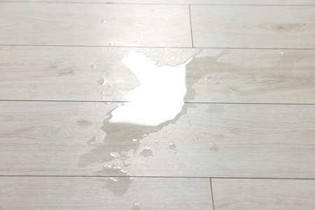 Puddle of spilled water on white laminated floorの写真素材