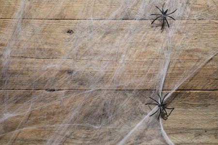 Cobweb and spiders on wooden surface, top viewの写真素材