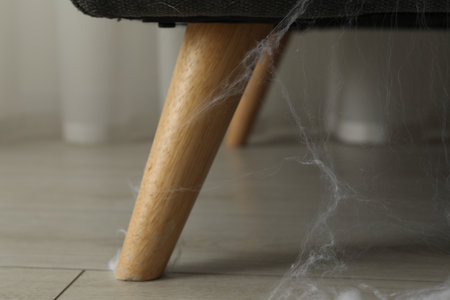 Old cobweb on chair in room, closeupの写真素材