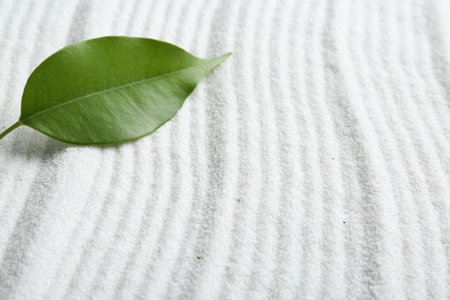 Zen rock garden. Wave pattern on white sand and green leaf, closeupの写真素材