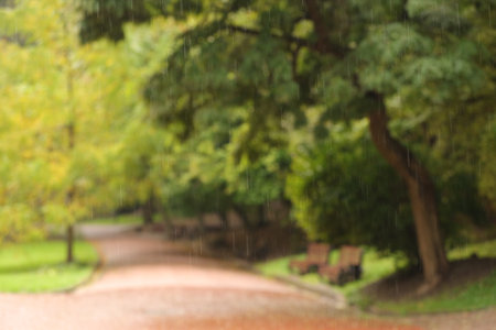 Blurred view of pathway in autumn park on rainy dayの写真素材
