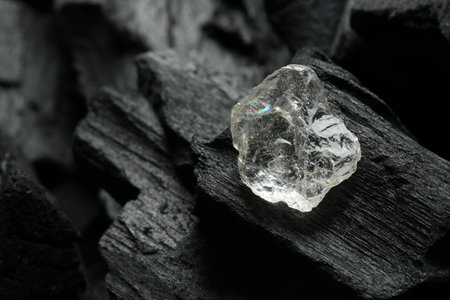 Beautiful shiny diamond on coal, closeup. Space for textの写真素材