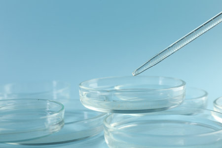 Pipette over petri dish on light blue background, closeupの写真素材