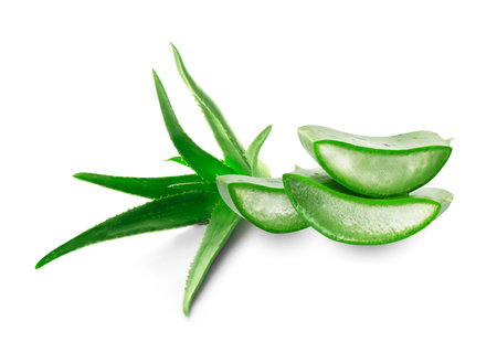 Cut aloe vera leaves isolated on whiteの写真素材