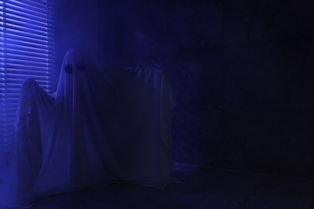 Creepy ghost. Woman covered with sheet near window in blue light, space for textの写真素材